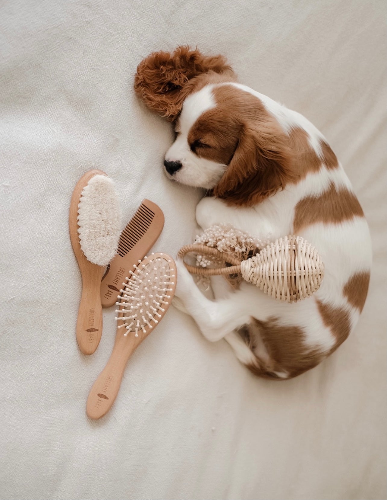 Shellamy Baby 3 Piece Wooden Baby Hairbrush and Comb Set