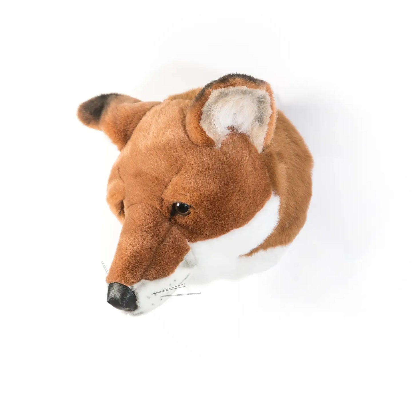 Wall Deco Head Fox Louis