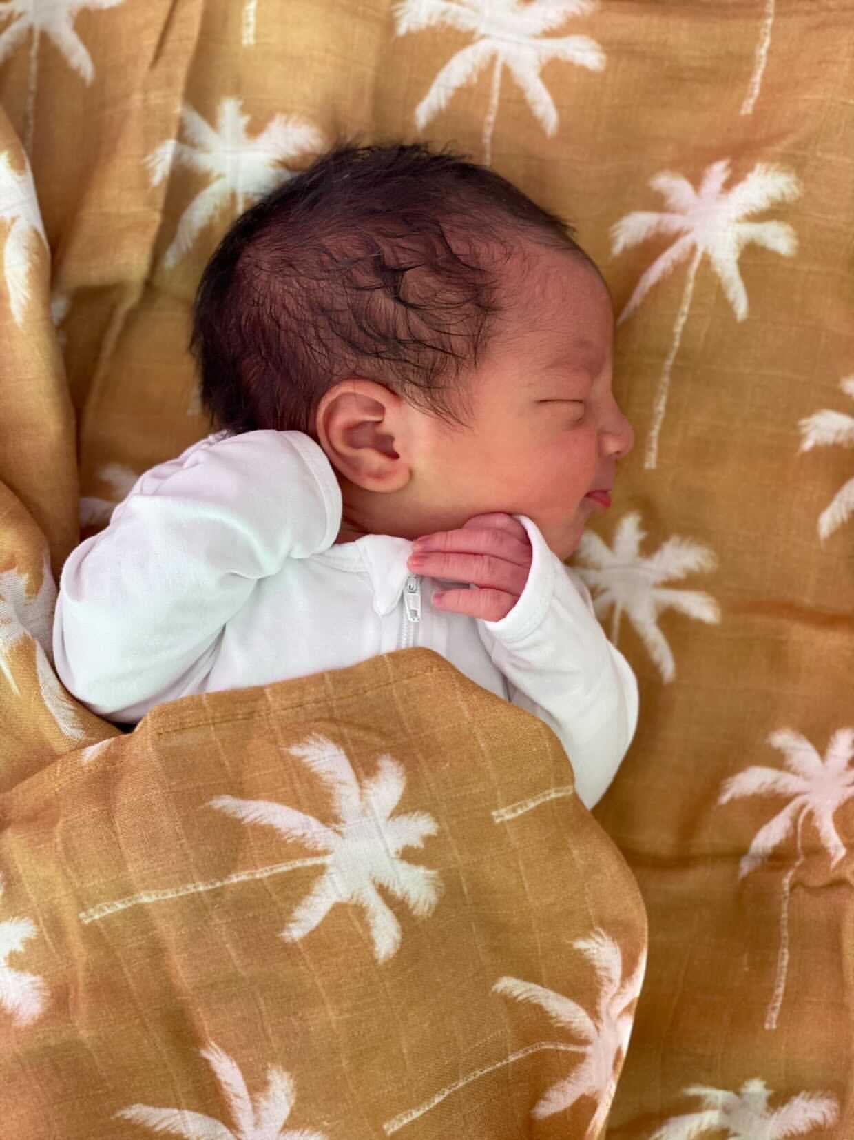 WRAP ~ Bamboo/Cotton ~ Arlo Palm ~ Toffee