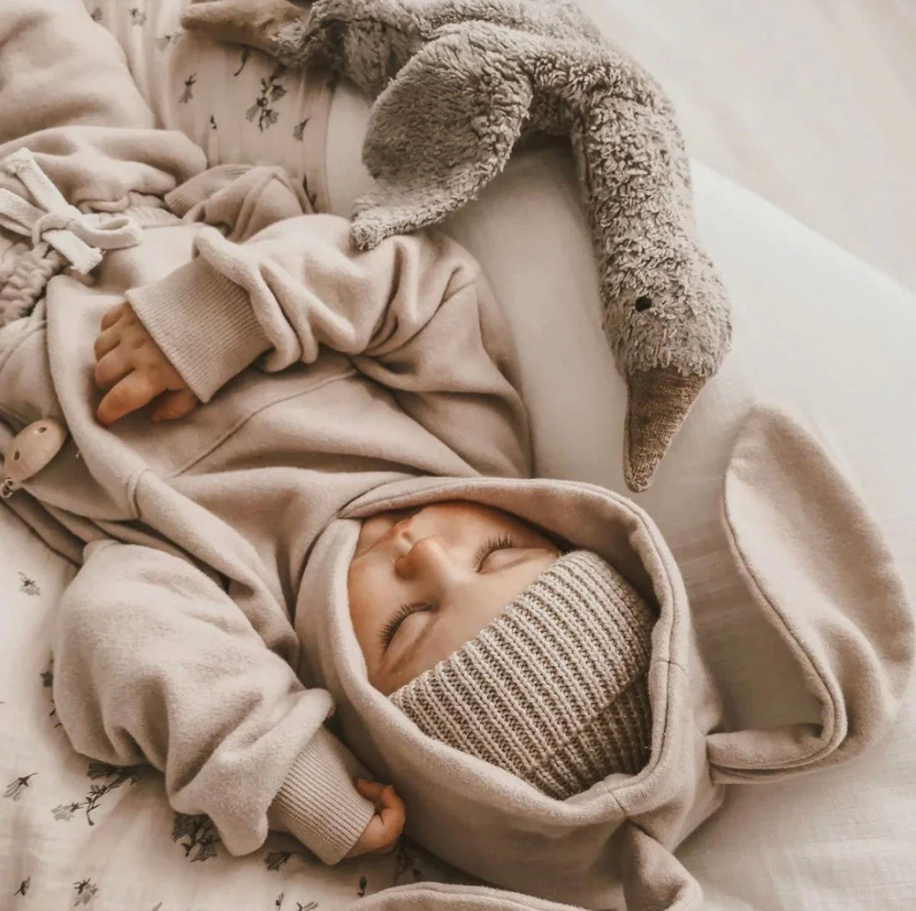 Organic Small- Grey goose