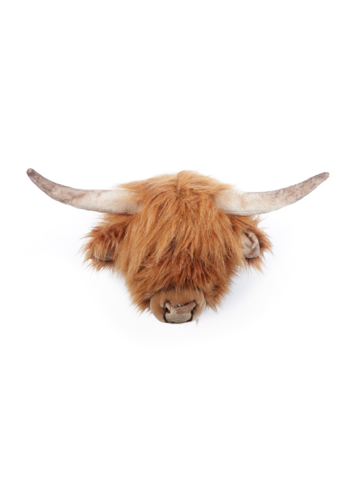 Wall Deco Head Highland Cow Nicolas