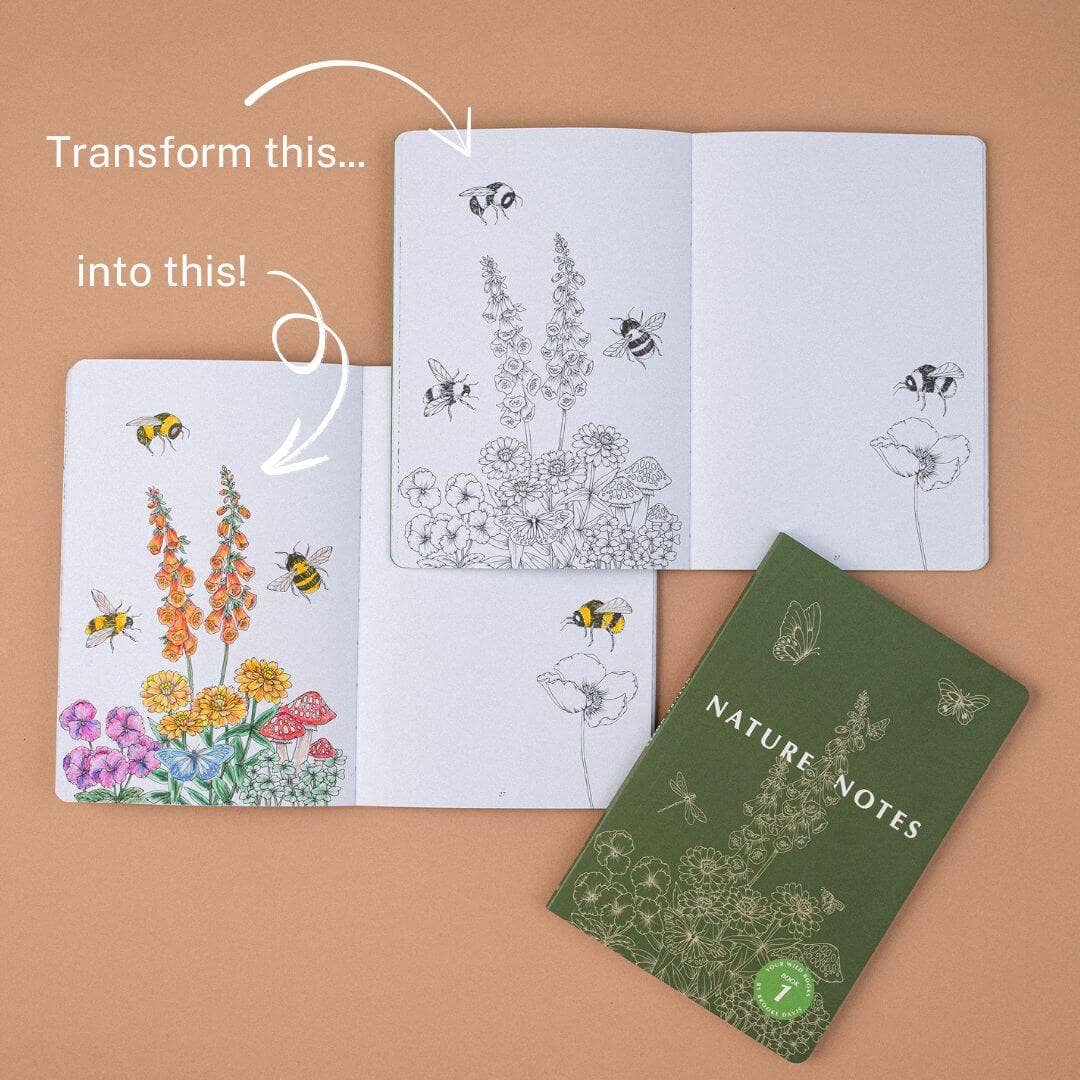 Nature Notes 1