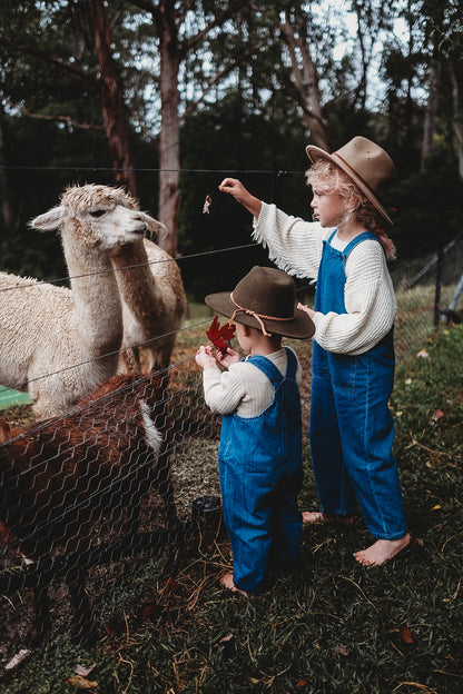 Everyday Hemp Denim Overalls