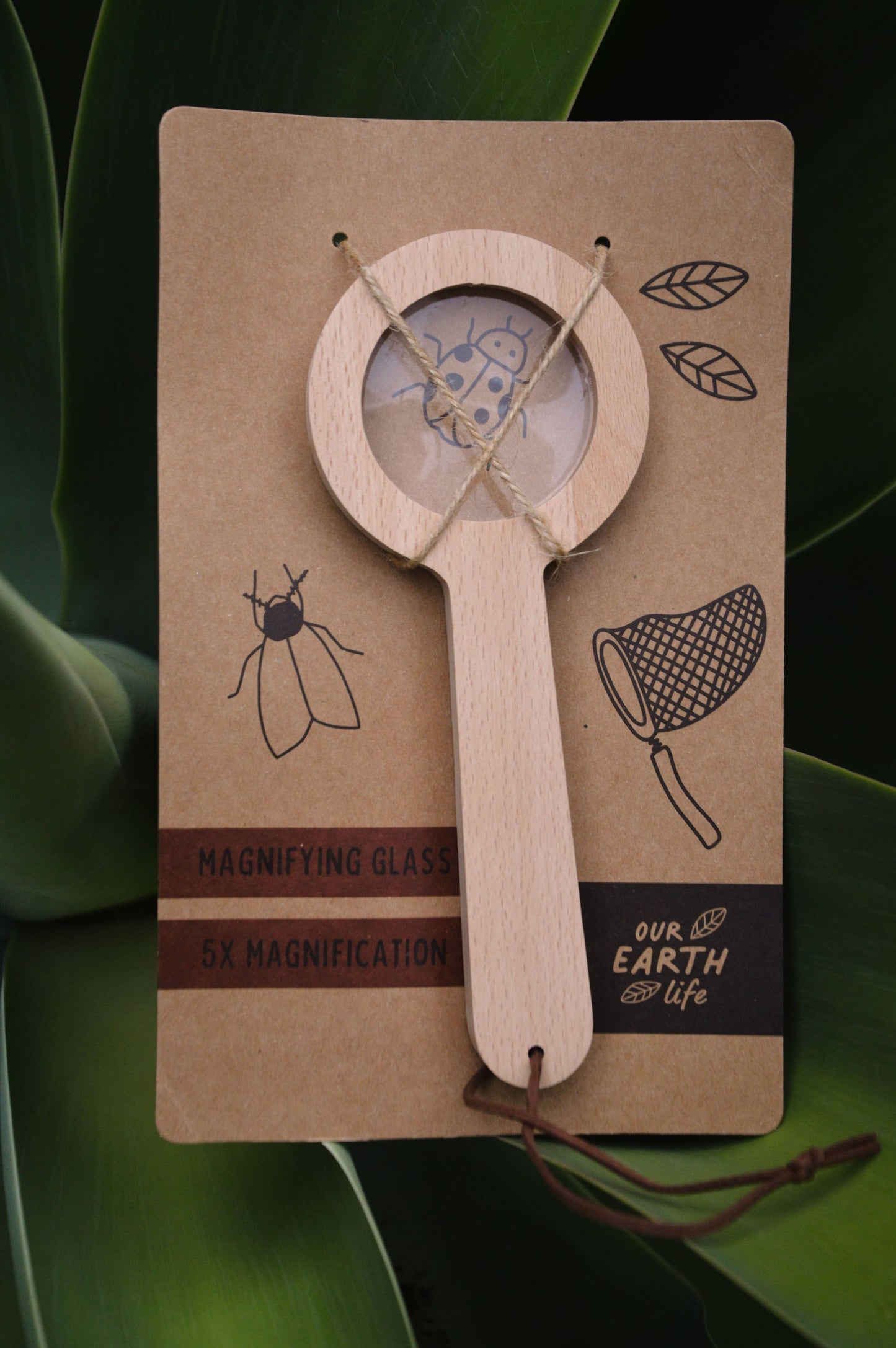 Wooden Magnifying Glass
